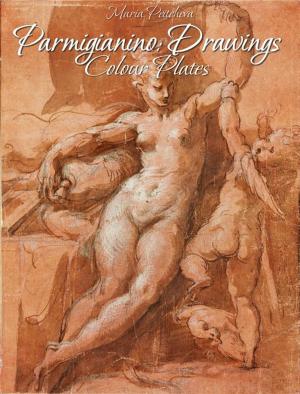 Book cover of Parmigianino: Drawings Colour Plates