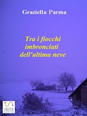Book cover of Tra i fiocchi imbronciati dell'ultima neve