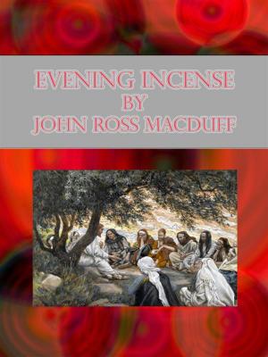 Book cover of Evening Incense
