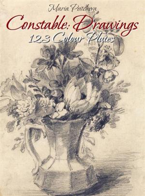 Book cover of Constable: Drawings 123 Colour Plates
