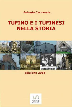 Cover of the book Tufino e i tufinesi nella storia by Luigi Russo