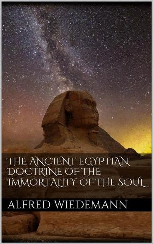 Cover of The Ancient Egyptian Doctrine of the Immortality of the Soul