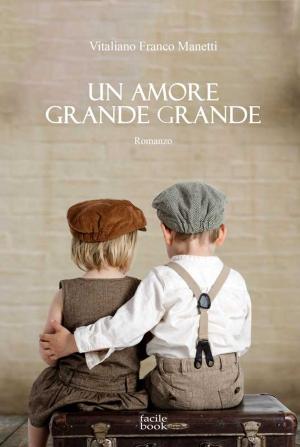 bigCover of the book Un amore grande grande by 
