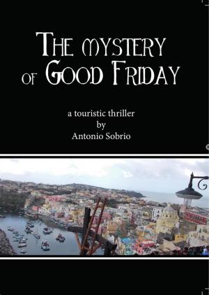 Cover of the book The mystery of Good Friday by Henry Haven Windsor