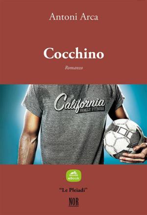 Book cover of Cocchino