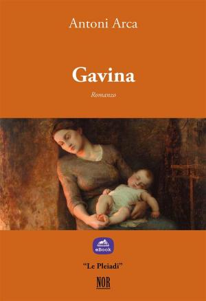 Book cover of Gavina