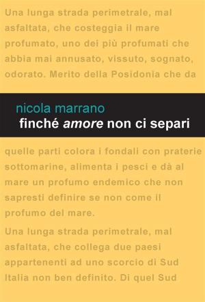 Cover of the book Finché amore non ci separi by Ottorino Gurgo