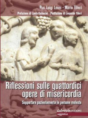 Cover of the book Riflessioni sulle quattordici opere di misericordia by Benedetta Torchia Sonqua
