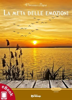 Cover of the book La meta delle emozioni e Il mare dei sentimenti by Alessandro Vizzino
