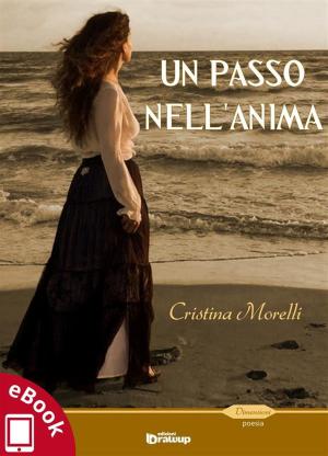 Cover of the book Un passo nell'anima by Nicola Ibba