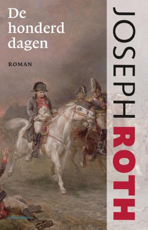 Cover of the book De honderd dagen by Dimitri Verhulst