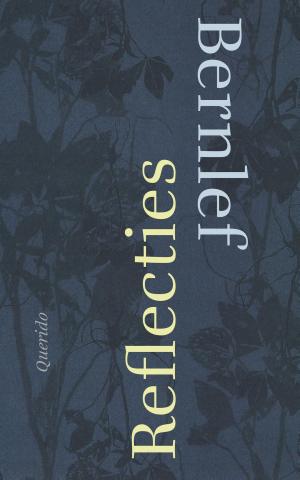 Cover of the book Reflecties by Edward van de Vendel
