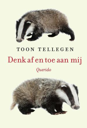 Cover of the book Denk af en toe aan mij by Eveline Stoel