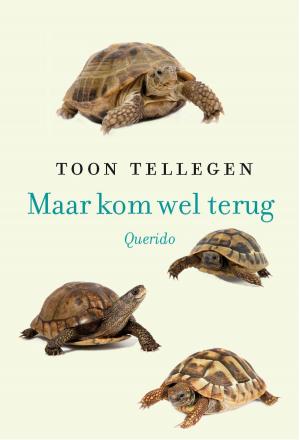Cover of the book Maar kom wel terug! by Anna Enquist