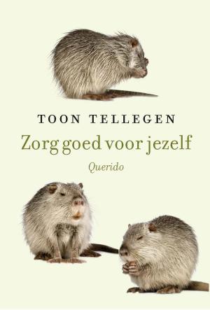 Cover of the book Zorg goed voor jezelf by Nicolien Mizee