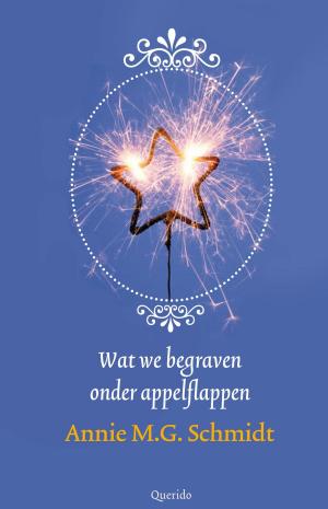 Cover of the book Wat we begraven onder appelflappen by Joke van Leeuwen