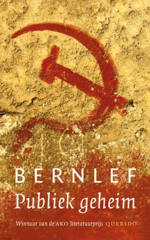 Cover of the book Publiek geheim by J. Bernlef
