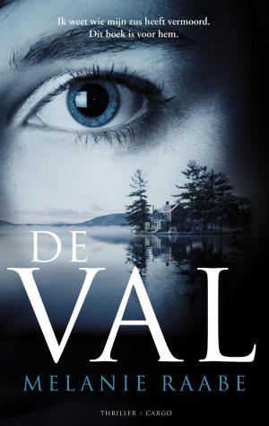 Cover of the book De val by Peter Winnen