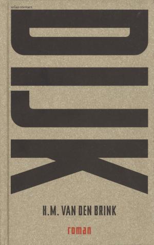 Cover of the book Dijk by Philip Snijder