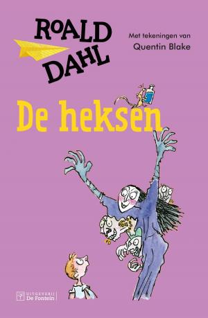 Cover of the book De heksen by James van Praagh