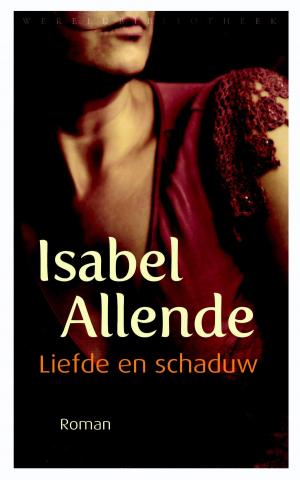 Book cover of Liefde en schaduw
