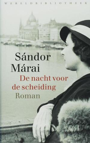 Cover of the book De nacht voor de scheiding by Piet de Rooy
