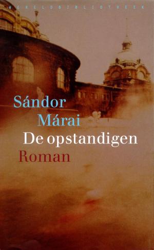Cover of the book De opstandigen by Karel Capek