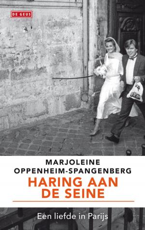 Cover of the book Haring aan de Seine by Annelies Verbeke