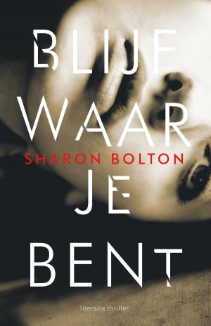 Cover of the book Blijf waar je bent by Belinda Bauer