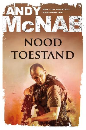 Cover of the book Noodtoestand by Frederick Forsyth