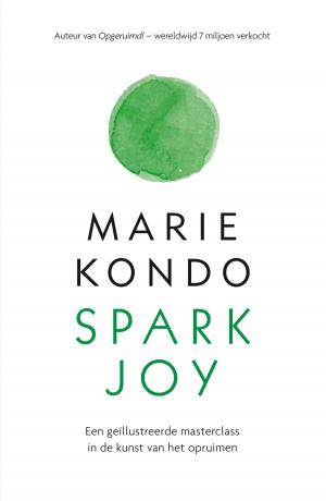 Book cover of Spark Joy