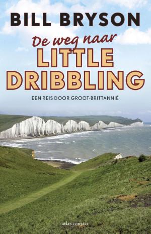 Cover of the book De weg naar little dribbling by Adriaan van Dis