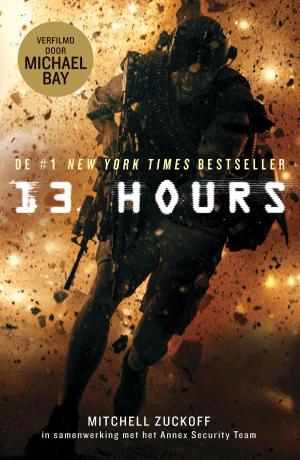 Cover of the book 13 Hours by Petrus Dahlin, Lars Johansson