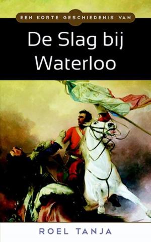 Cover of the book Een korte geschiedenis van de Slag bij Waterloo by Maarten Hell