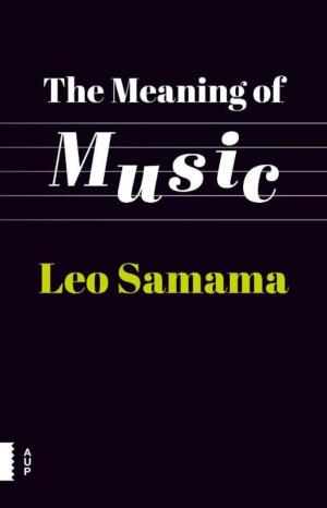 Cover of the book The meaning of music by Benjamin B. Roberts