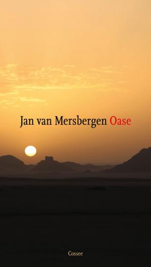 Cover of the book Oase by Kristine Bilkau