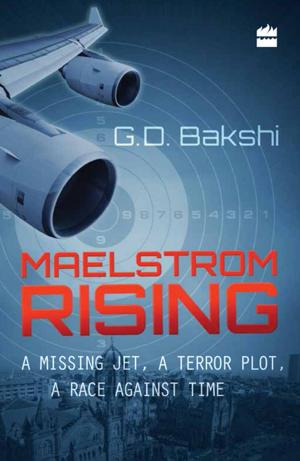 Cover of the book Maelstrom Rising by Bejan Daruwalla