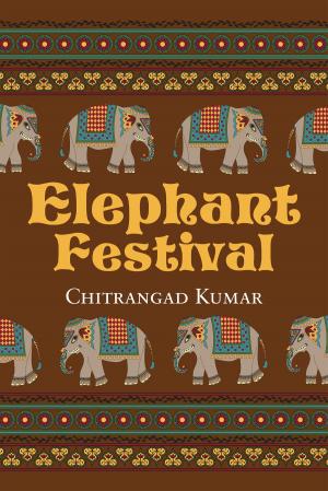 Cover of the book Elephant Festival by RUSTOM MISTRY