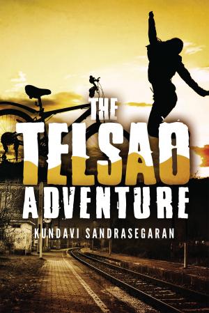 Cover of the book The Telsao Adventure by Ananth Palaniappan