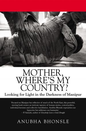 Cover of the book Mother, Where's My Country? by Nate Rabe