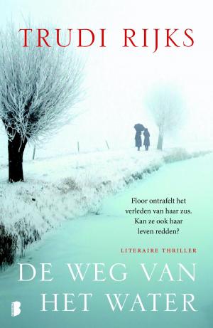 Cover of the book De weg van het water by Angela McRae