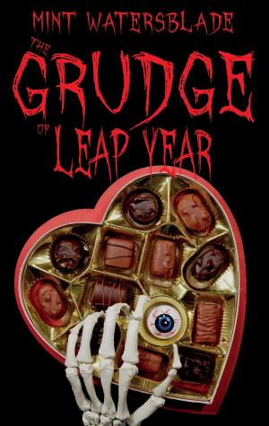 Cover of the book The Grudge of leap year by Lutz Völker