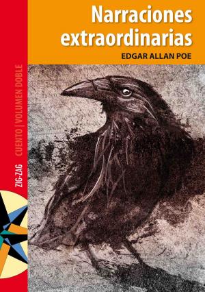 Cover of the book Narraciones extraordinarias by Juan Andrés Piña