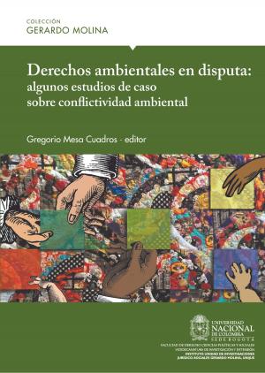 Book cover of Derechos ambientales en disputa: algunos estudios de caso sobre conflictividad ambiental