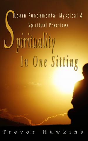Cover of Spirituality In One Sitting