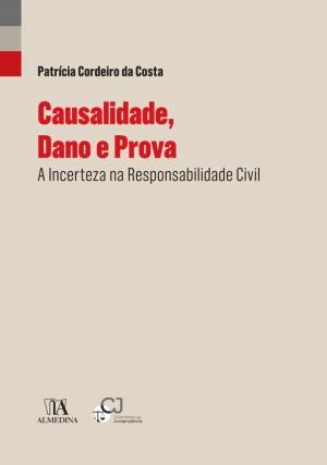 Cover of the book Causalidade, Dano e Prova - A Incerteza na Responsabilidade Civil by José Manuel Braz da Silva