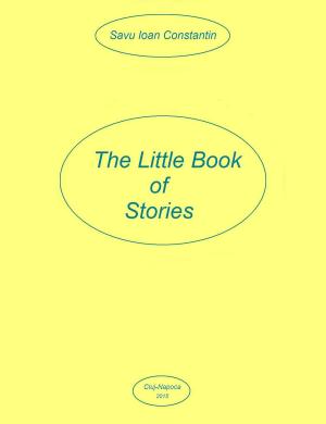Book cover of The Little Book of Stories