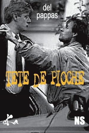 Cover of the book Tête de pioche by Antoine Blocier