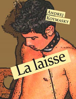 Cover of the book La laisse by Jean-Marc Brières