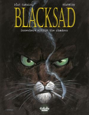 Book cover of Blacksad - Volume 1 - Somewhere within the shadows